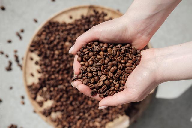 BKI kaffebønner til ambitiøst klimamål med SBTi